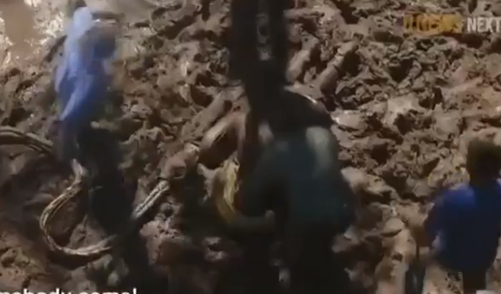 Video çmenduri! Burri futet me vullnet të plotë në gojën e anakondas por… !