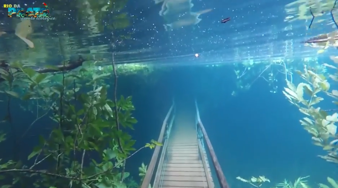 Video/ Në Brazil ekziston një “kopsht i Edenit” nën ujë! (Video)