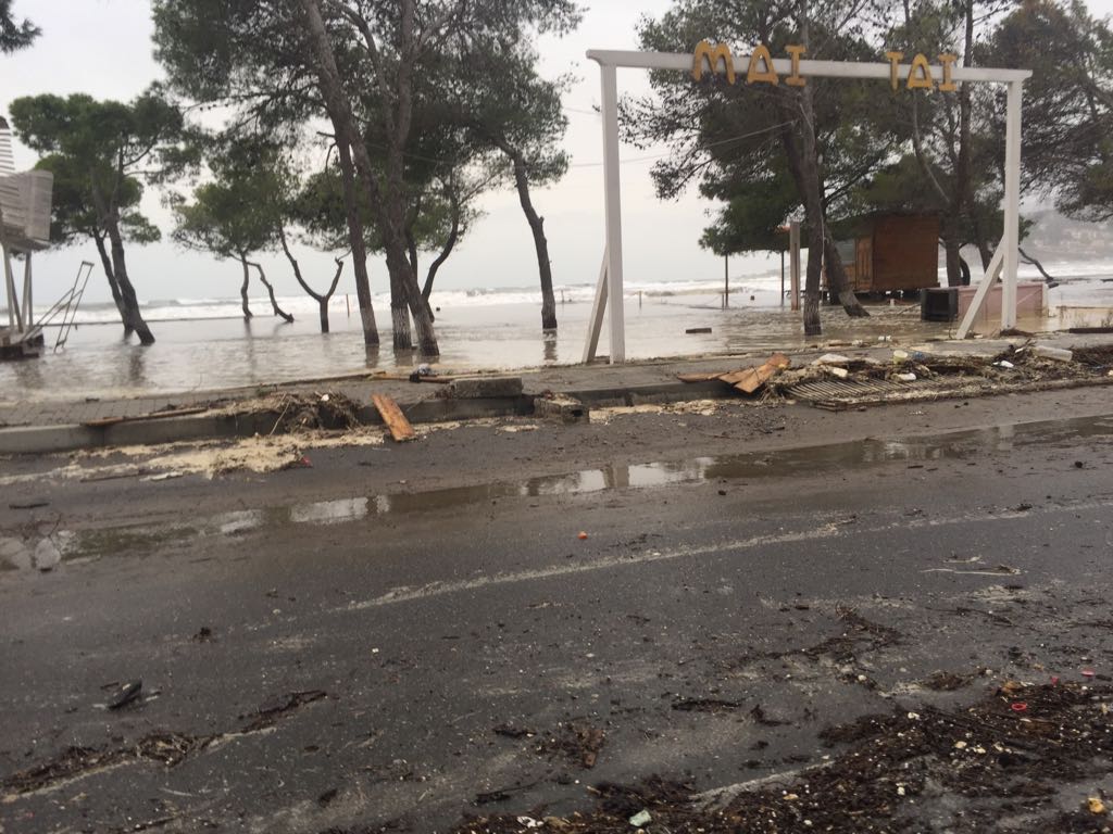Tërbohet era në Lezhë, Durrës, Vlorë e Fier, shkul pishat në bregdeti dhe bllokon lundrimin (Foto+Video) Tërbohet era në Lezhë, Durrës, Vlorë e Fier, shkul pishat në bregdeti dhe bllokon lundrimin (Foto+Video)