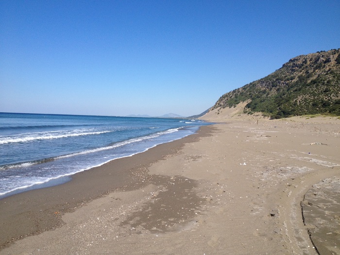 Tjetërsimi i pronave në Lezhë, Bashkia “zhvendoset” në burg, 23 urdhër arreste Tjetërsimi i pronave në Lezhë, Bashkia “zhvendoset” në burg, 23 urdhër arreste