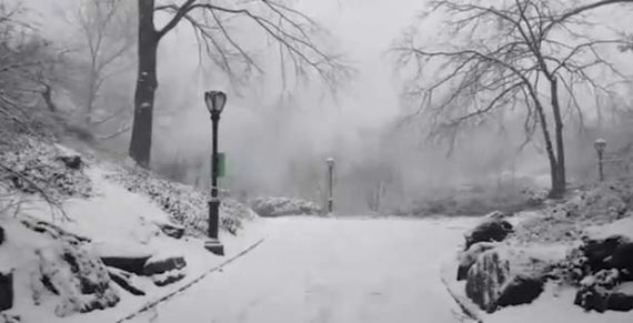 New York, magji në “Central Park”: Parku mbulohet nga “dëbora e pranverës” (Video) New York, magji në “Central Park”: Parku mbulohet nga “dëbora e pranverës” (Video)