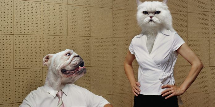 “Pse burrat dhe gratë janë si qeni me macen”/ 30 shprehje me humor për meshkujt përballë femrave “Pse burrat dhe gratë janë si qeni me macen”/ 30 shprehje me humor për meshkujt përballë femrave