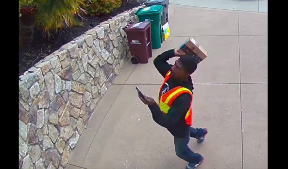 Postieri dembel bën dinakun, por kamerat e vilës e tradhëtojnë! (Video)