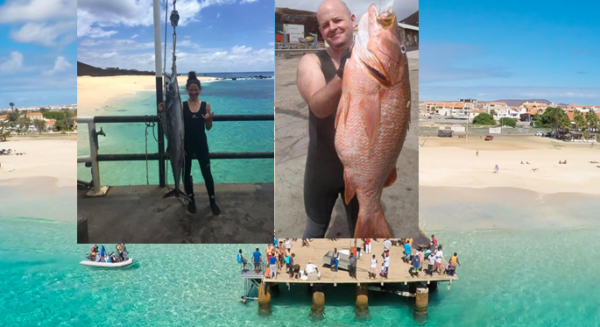 Masakër në Parajsë: U arratisën për t’i shpëtuar burgut, ranë pre e një vrasje pasioni (Foto) Masakër në Parajsë: U arratisën për t’i shpëtuar burgut, ranë pre e një vrasje pasioni (Foto)