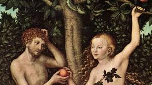 Eva kafshoi mollën, Pandora hapi kutinë dhe kurioziteti vrau. Çfarë ka prapa asaj dere? Eva kafshoi mollën, Pandora hapi kutinë dhe kurioziteti vrau. Çfarë ka prapa asaj dere?