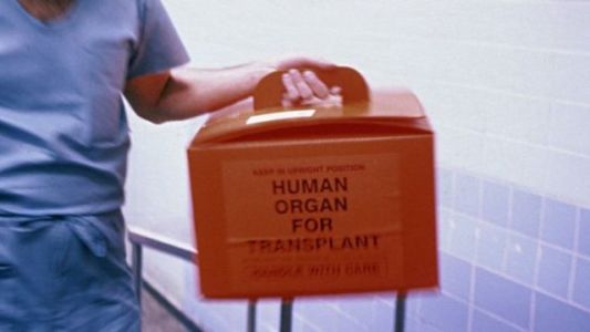 Zbulohet rrjeti i transplanteve të organeve, arrestohet 31-vjeçarja shqiptare në Angli (Foto) Zbulohet rrjeti i transplanteve të organeve, arrestohet 31-vjeçarja shqiptare në Angli (Foto)