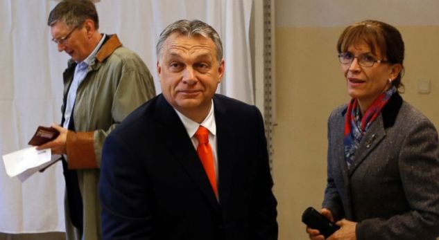 Kur fitoret e të djathëve në botë, festohen si të PD në Tiranë!