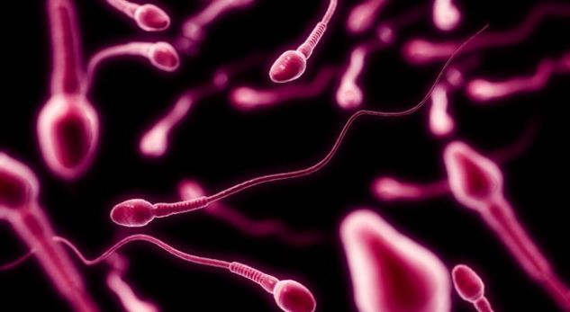 Kërkohen dhurues sperme, por vetëm nëse janë …komunistë! Kërkohen dhurues sperme, por vetëm nëse janë …komunistë!