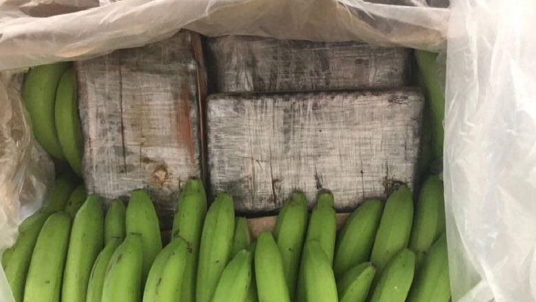 Si u kap kokaina super e pastër dhe u arrestuan 13 shqiptarët në Gjermani Si u kap kokaina super e pastër dhe u arrestuan 13 shqiptarët në Gjermani