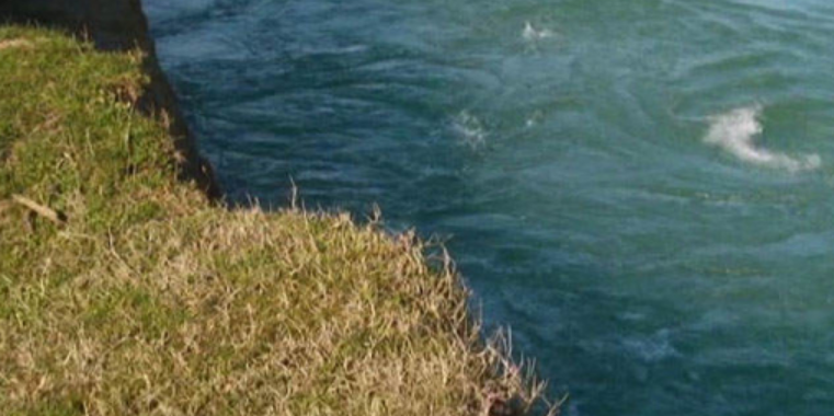 Puthi djalin për herë të fundit dhe doli nga shtëpia: Detaje të dhimbshme nga mbytja e policit në Shkodër (Foto) Puthi djalin për herë të fundit dhe doli nga shtëpia: Detaje të dhimbshme nga mbytja e policit në Shkodër (Foto)