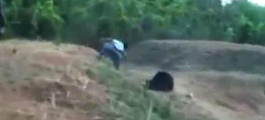 Zbriti të bënte një foto me ariun, taksisti përjeton tmerrin e jetës (Video) Zbriti të bënte një foto me ariun, taksisti përjeton tmerrin e jetës (Video)