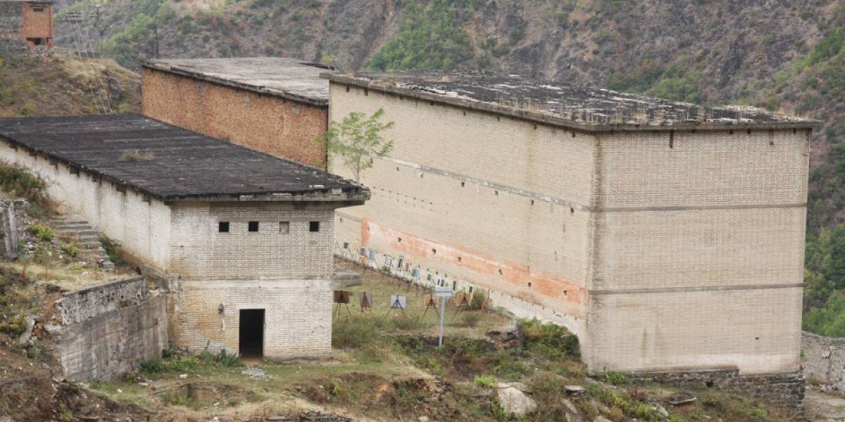 Spaçi ose pengu i pazbardhur Spaçi ose pengu i pazbardhur