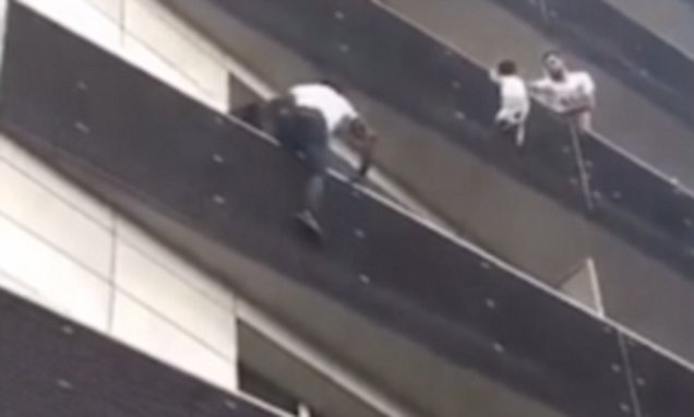 Emigranti hero, ngjitet 5 kate për të shpëtuar fëmijën (Video) Emigranti hero, ngjitet 5 kate për të shpëtuar fëmijën (Video)