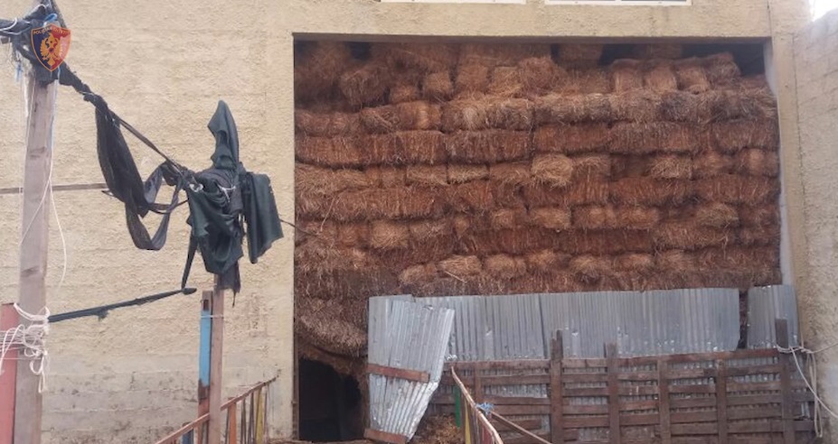 Zbulohet laboratori gjigant i drogës në Fier, pronari shpallet në kërkim Zbulohet laboratori gjigant i drogës në Fier, pronari shpallet në kërkim