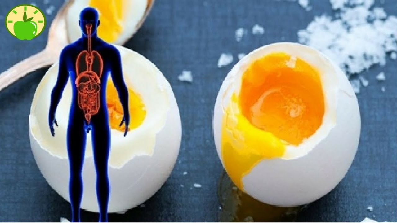 Del rezultati i kërkimit shkencor dhe e gjithë bota duhet ta marrë vesh: 2 vezë në ditë e “çmendin” organizmin