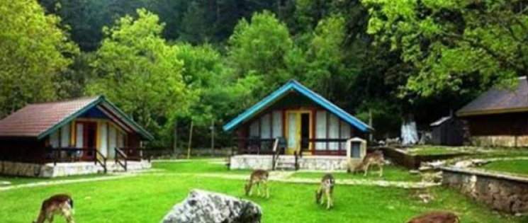 Detaje/ I përndjek fati i keq, turistja çeke humb në pyllin e Llogarasë