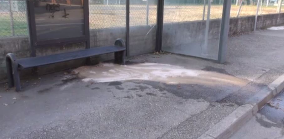 Kjo vajzë kërkoi vetëm rrogën, përfundon e vrarë dhe e therur Kjo vajzë kërkoi vetëm rrogën, përfundon e vrarë dhe e therur