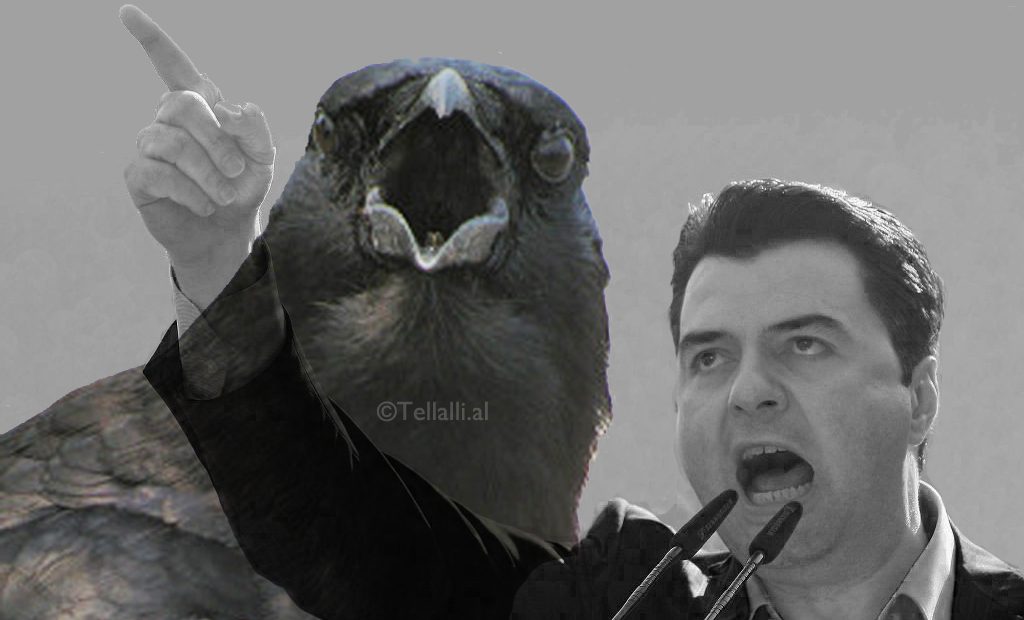 Lulit i duhet avokat: PS po bënë gati padinë e tretë, për “mashtrim publik” Lulit i duhet avokat: PS po bënë gati padinë e tretë, për “mashtrim publik”