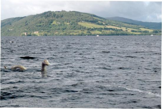 7 kafshët misterioze për të cilat shkenca nuk ka shpjegim
