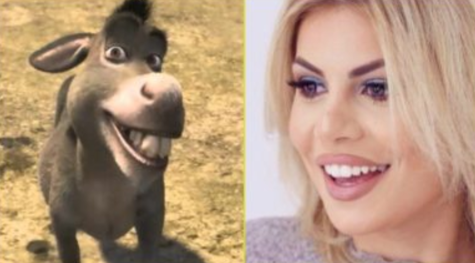 Foto/ Fansja e krahason me gomarin e Shrekut, Luana Vjollca lë pa fjalë të gjithë me përgjigjen e saj Foto/ Fansja e krahason me gomarin e Shrekut, Luana Vjollca lë pa fjalë të gjithë me përgjigjen e saj