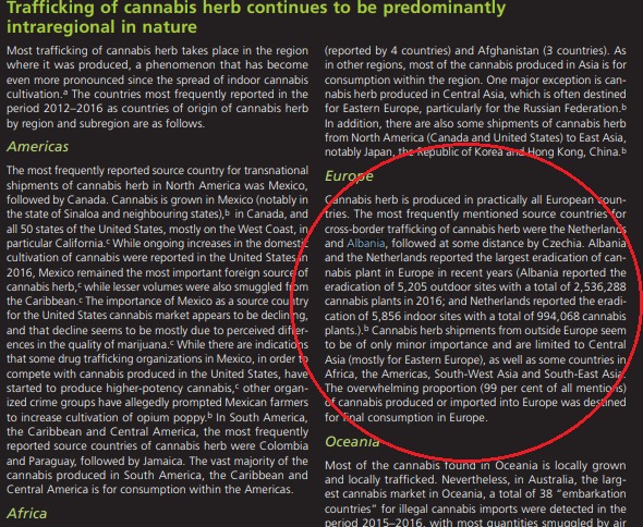 Raporti Botëror i Drogave: Shqipëria asgjesoi më shumë bimë kanabis në Europë Raporti Botëror i Drogave: Shqipëria asgjesoi më shumë bimë kanabis në Europë