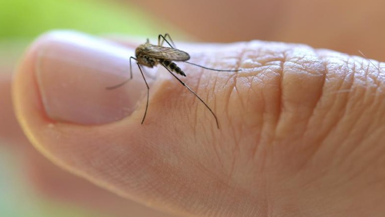 Ju pickojnë mushkojnat? Ja arsyet pse jeni “preferenca” e tyre! Ju pickojnë mushkojnat? Ja arsyet pse jeni “preferenca” e tyre!