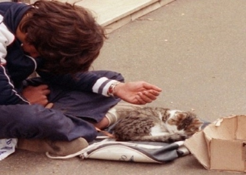 VIDEO/ Qytetarja i kërkon 100 lekë lypësit të vogël, përlotet nga veprimi i tij VIDEO/ Qytetarja i kërkon 100 lekë lypësit të vogël, përlotet nga veprimi i tij