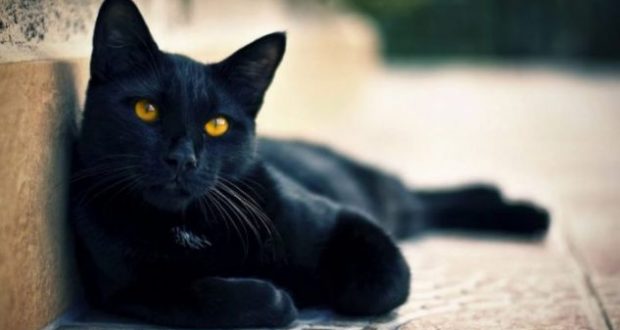 10 besëtytnitë që i besojnë akoma shqiptarët! Nga macja e zezë tek pasqyra e thyer 10 besëtytnitë që i besojnë akoma shqiptarët! Nga macja e zezë tek pasqyra e thyer