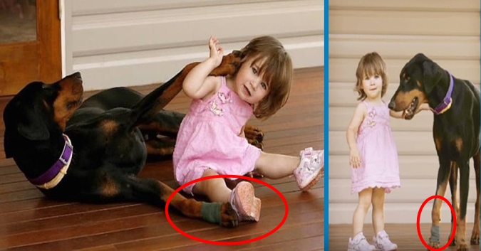 U shokua kur pa qenin që po tërhiqte vajzën zvarrë, kur zbuloi arsyen… (Foto)