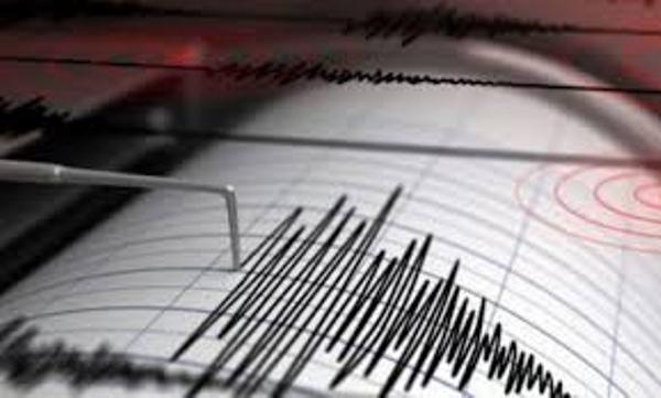 ”Tronditet” Gjiri i Lalzit, 12 tërmete brenda pak orëve ”Tronditet” Gjiri i Lalzit, 12 tërmete brenda pak orëve