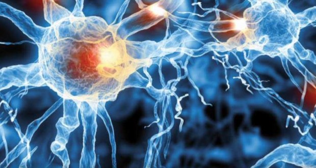 Të ruajmë kujtimet tona, si në një kompjuter Të ruajmë kujtimet tona, si në një kompjuter