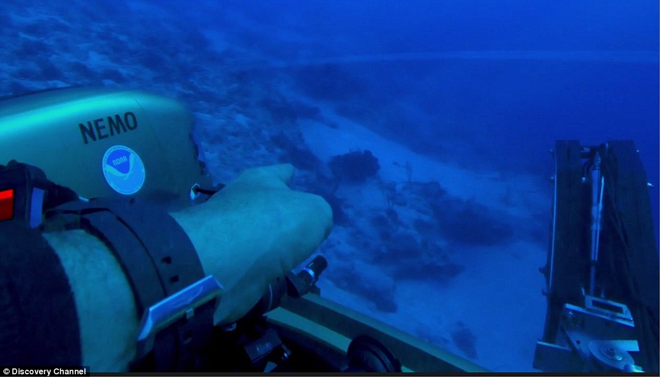 Eksperti i njohur publikon pamjet: Një anije jashtëtokësore në Trekëndëshin e Bermudës Eksperti i njohur publikon pamjet: Një anije jashtëtokësore në Trekëndëshin e Bermudës