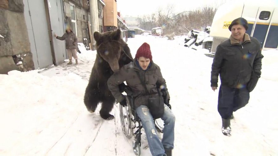 Lebetitja nga vetingu… “simbioza e qorrsokakut” opozitarë! Lebetitja nga vetingu… “simbioza e qorrsokakut” opozitarë!