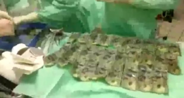 E pabesueshme: Gruaja gëlltit 7 mijë dollarë… pas sherrit me burrin (Video) E pabesueshme: Gruaja gëlltit 7 mijë dollarë… pas sherrit me burrin (Video)