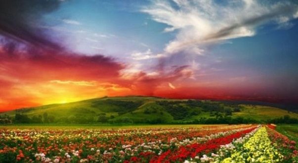 Shkencëtari: Ja provat se Zoti ekziston! Shkencëtari: Ja provat se Zoti ekziston!