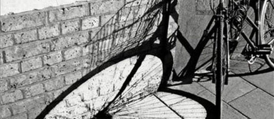 Për Bashkinë e Tiranës, biçikletat dhe djaloshin pa biçikletë Për Bashkinë e Tiranës, biçikletat dhe djaloshin pa biçikletë