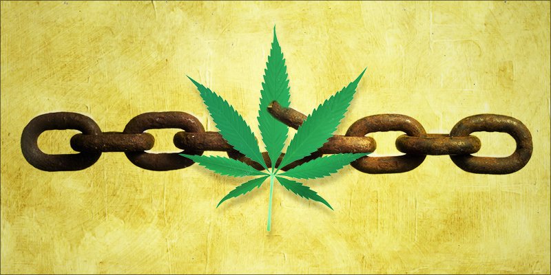 Harbim i paparë pas legalizimit të hashashit, njerëzit vërshojnë në rrugë, kërcejnë e këndojnë nga gëzimi (Video) Harbim i paparë pas legalizimit të hashashit, njerëzit vërshojnë në rrugë, kërcejnë e këndojnë nga gëzimi (Video)