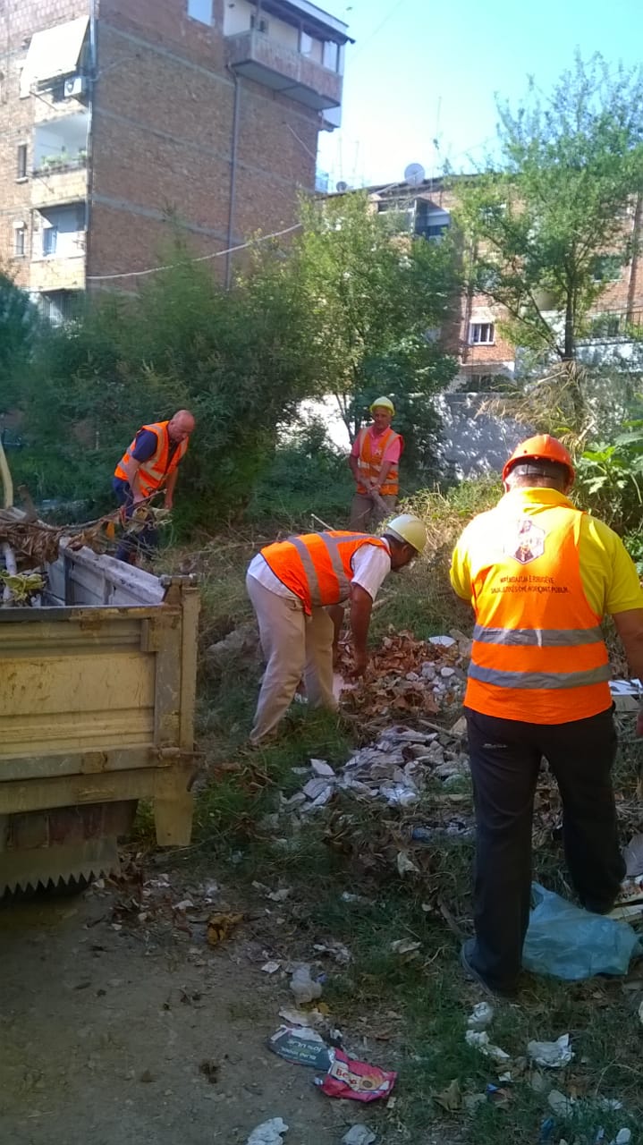 Nis aksioni i madh i pastrimit në Tiranë, vullnetarët në terren