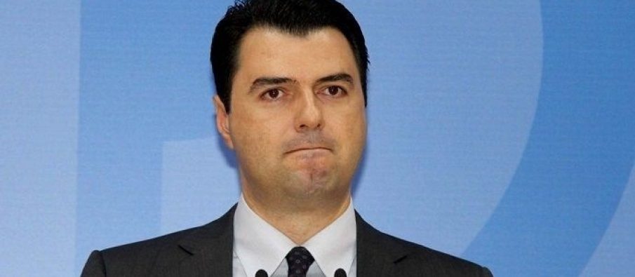 Ku të çon mushka…?!