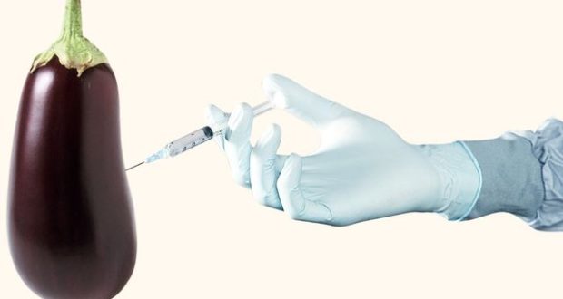 Burri pompon me qeliza “veglën” për ta rritur, por e kupton gruaja dhe e …. Burri pompon me qeliza “veglën” për ta rritur, por e kupton gruaja dhe e ….