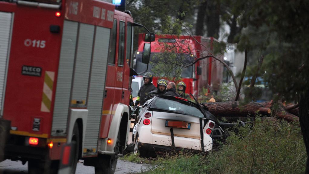 Itali/ 11 viktima nga moti i keq, erërat e forta shkulën pemët nga rrënjët Itali/ 11 viktima nga moti i keq, erërat e forta shkulën pemët nga rrënjët