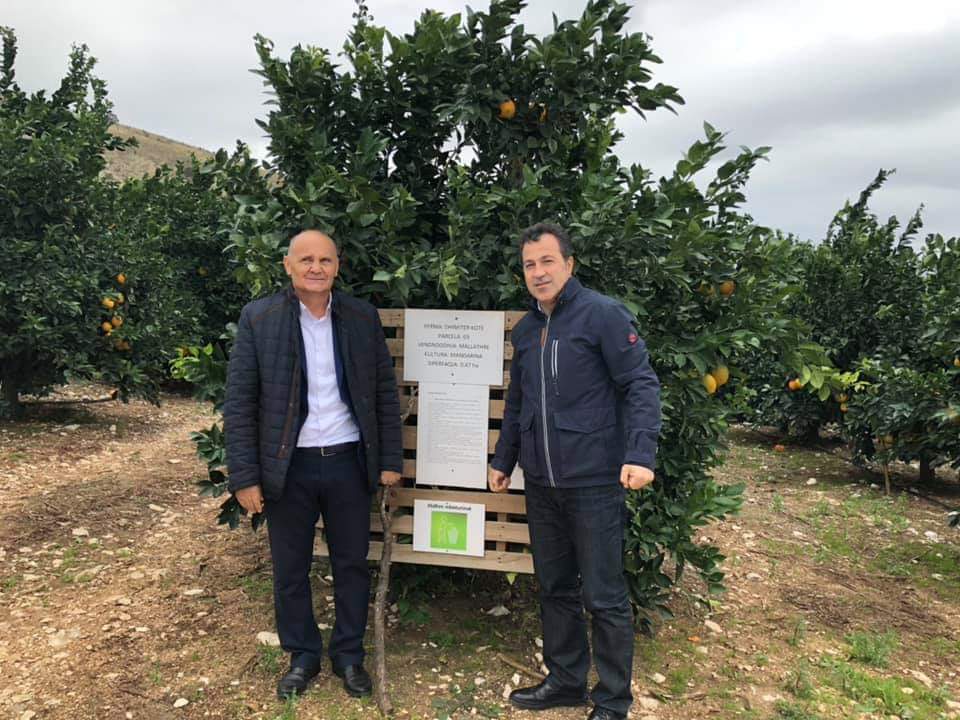 “Festa e Mandarinës”, Peleshi: Ka bashkuar fermerët, 25 mijë ton të shpërndara në të gjithë Europën “Festa e Mandarinës”, Peleshi: Ka bashkuar fermerët, 25 mijë ton të shpërndara në të gjithë Europën