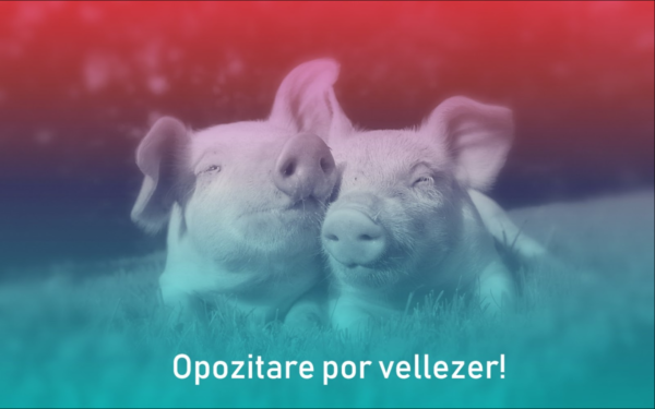 Opozitarë, Vëllezër, Derra! Opozitarë, Vëllezër, Derra!