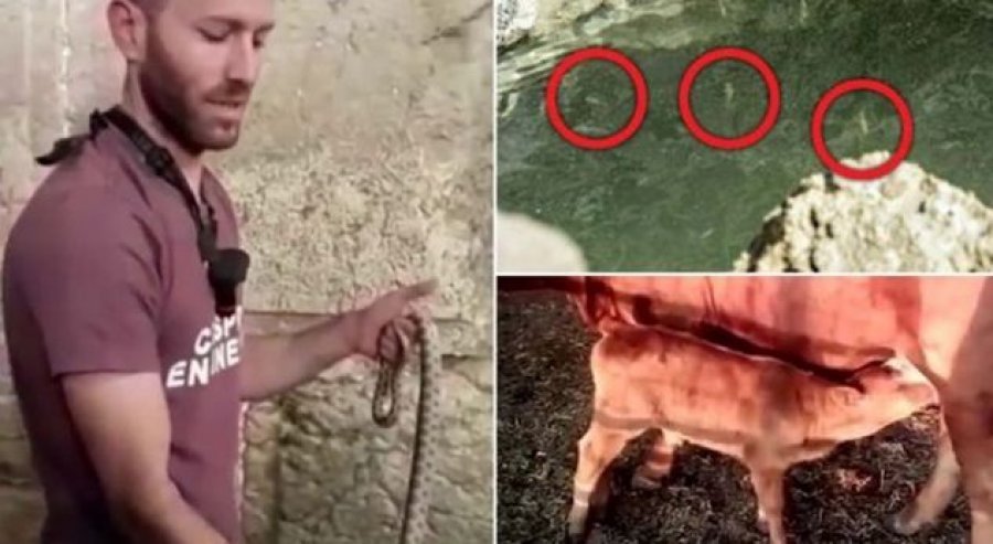 Profecia u përmbush, ajo çfarë është shkruar u kthye në realitet! Shenjat që vërtetojnë se fundi i botës është afër Profecia u përmbush, ajo çfarë është shkruar u kthye në realitet! Shenjat që vërtetojnë se fundi i botës është afër