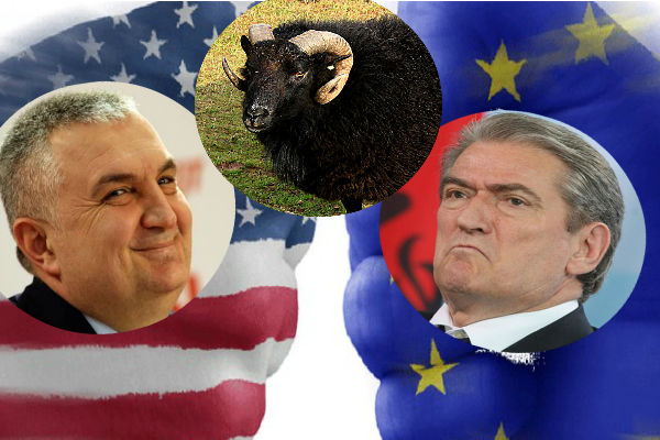 “Delja e zezë” e SHBA-BE që do të mbrojë Berishën dhe Metën pasi t’i godasë SPAK-u: Ja ku do strehohet ‘banda’ politike e Shqipërisë!