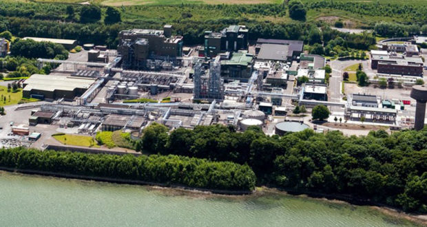 Në fshatin e Viagras, ku edhe qentë janë të eksituar Në fshatin e Viagras, ku edhe qentë janë të eksituar