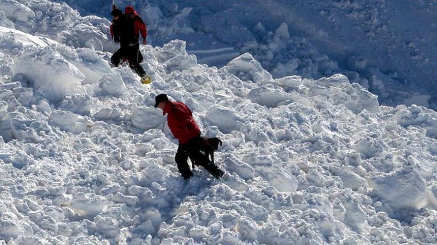 Fëmija shpëton mrekullisht, qeni e gjen të gjallë brenda ortekut Fëmija shpëton mrekullisht, qeni e gjen të gjallë brenda ortekut