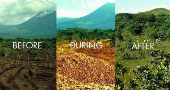 Tonelata me lëkura portokalli të hedhura në tokën e shkretuar, por 16 vite më vonë ndodh e pabesueshmja (Foto) Tonelata me lëkura portokalli të hedhura në tokën e shkretuar, por 16 vite më vonë ndodh e pabesueshmja (Foto)