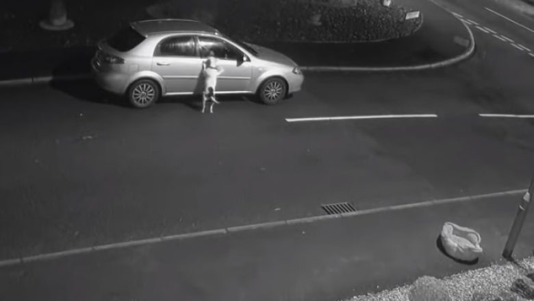 Pronari e braktisi duke e lënë në rrugë, reagimi i qenit ka prekur të gjithë (Video) Pronari e braktisi duke e lënë në rrugë, reagimi i qenit ka prekur të gjithë (Video)