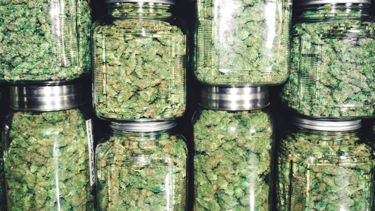 Luksemburgu pritet të legalizojë kanabisin Luksemburgu pritet të legalizojë kanabisin